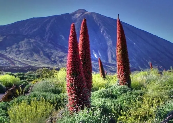 דירה Marody House Vacacional גרנדילה דה אבונה